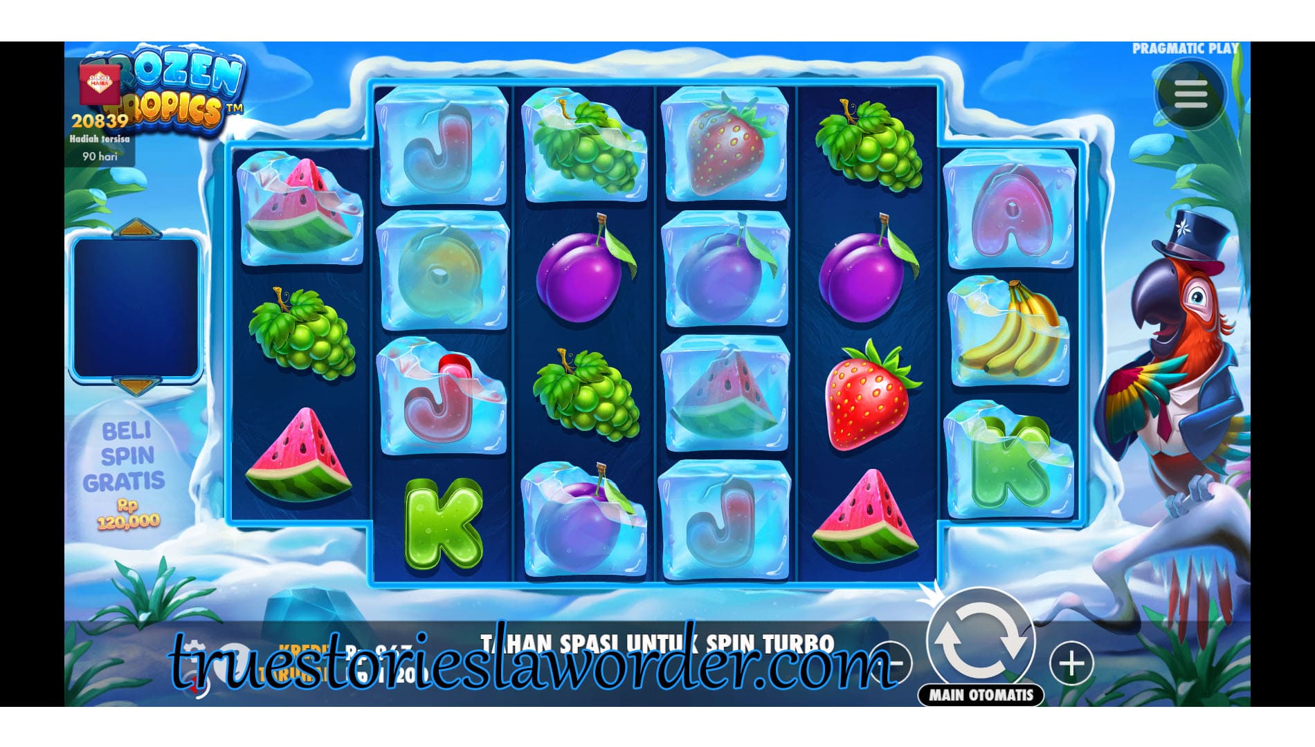 Slot Gacor Frozen Tropics